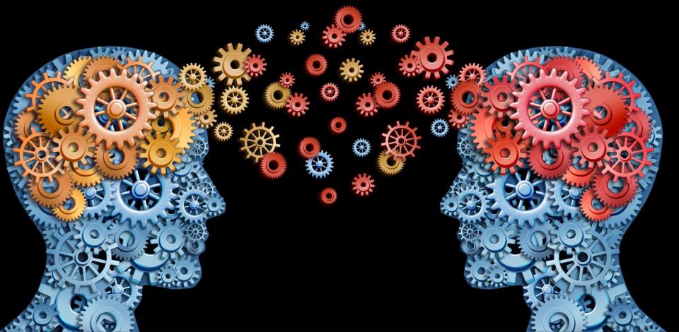 Teamwork and leadership with education symbol represented by two human heads shaped with gears with red and gold brain idea made of cogs representing the concept of intellectual communication through technology exchange.