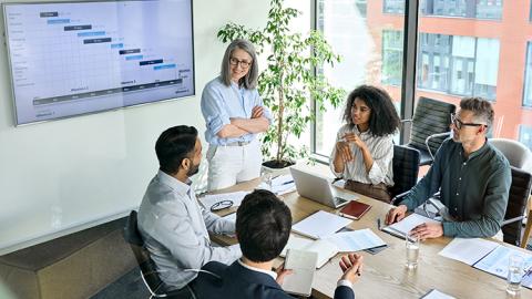 Four colleagues sit around a conference room table and a woman stands at the front of room with her arms crossed. Behind her is a project plan on a screen.